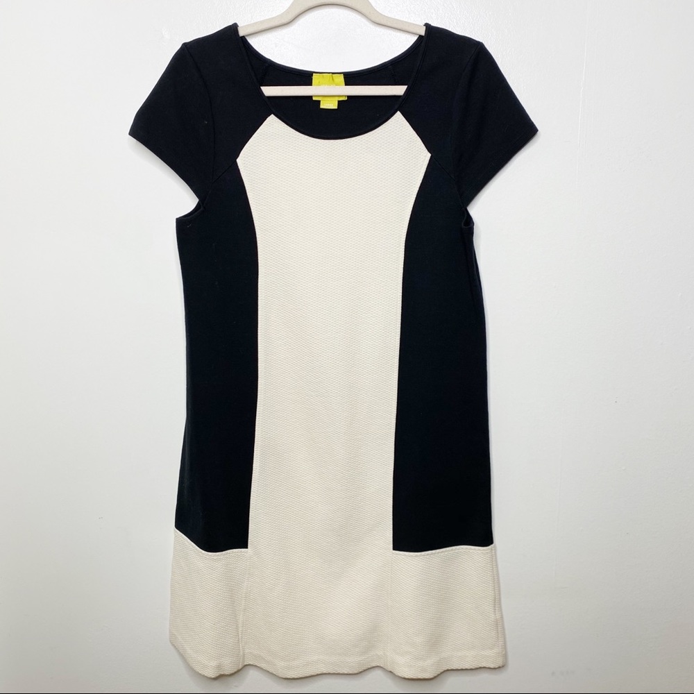 Anthropologie Maeve Corby Shift Dress View 5